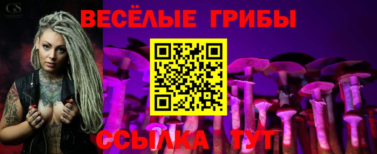 Галлюциногенные грибы ЛСД  Вход с VPN  Александров 